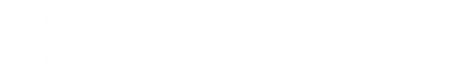 +90 216 391 28 42